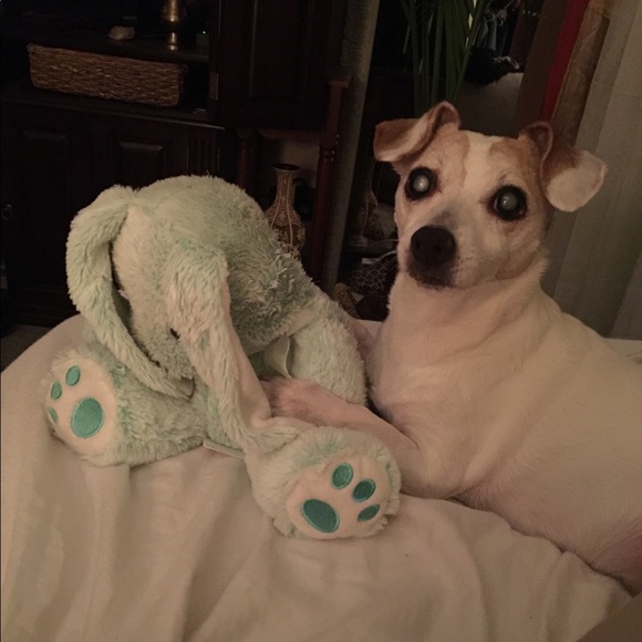 Meet your Posher, Christine - Picture 1 of 1